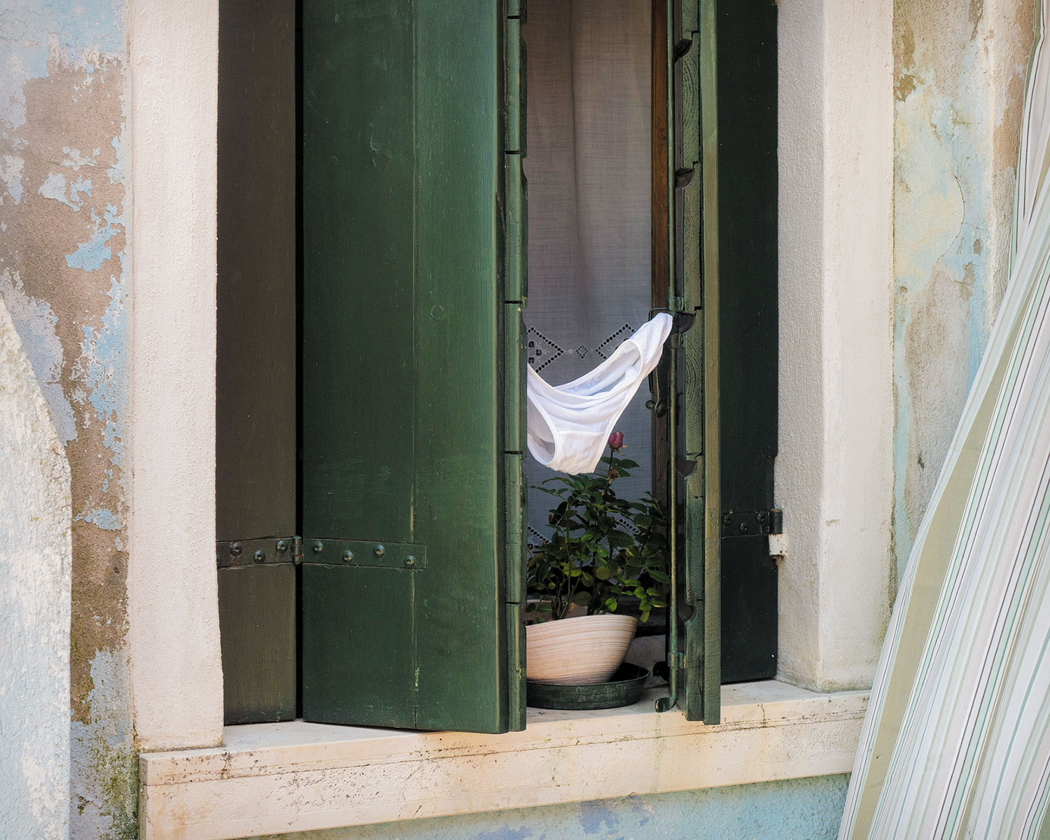 Fenster