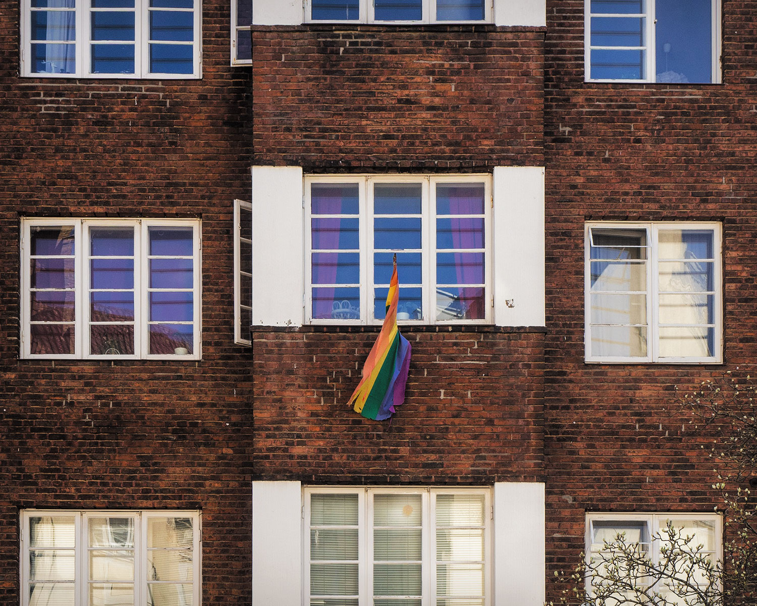 Fenster