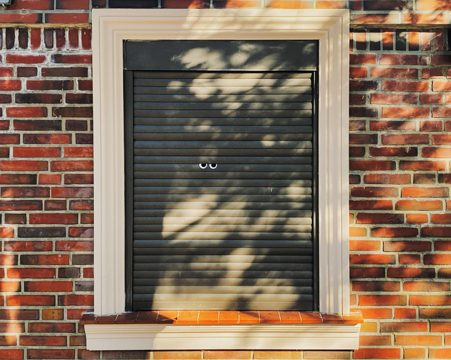 Fenster