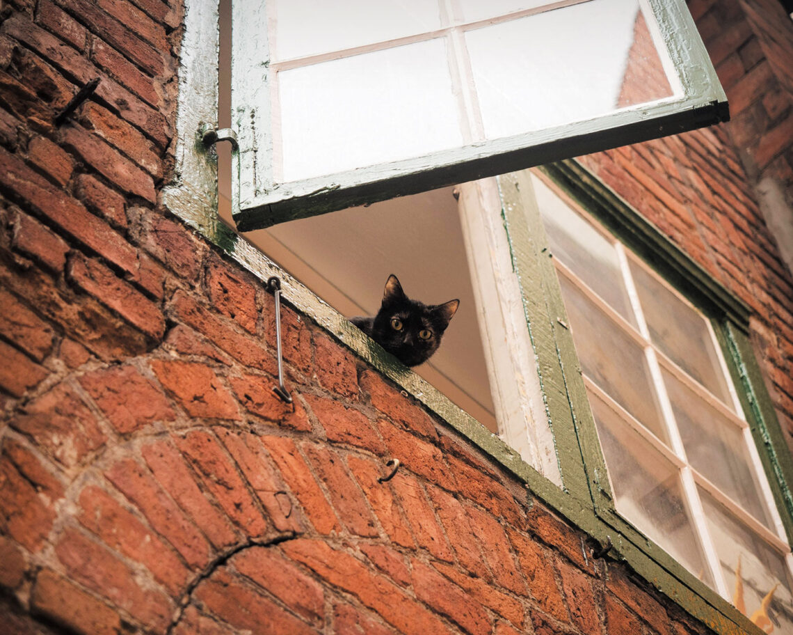 Fenster