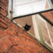 Fenster