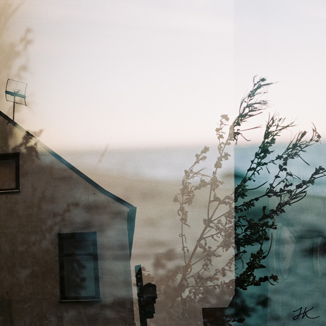 Lomography