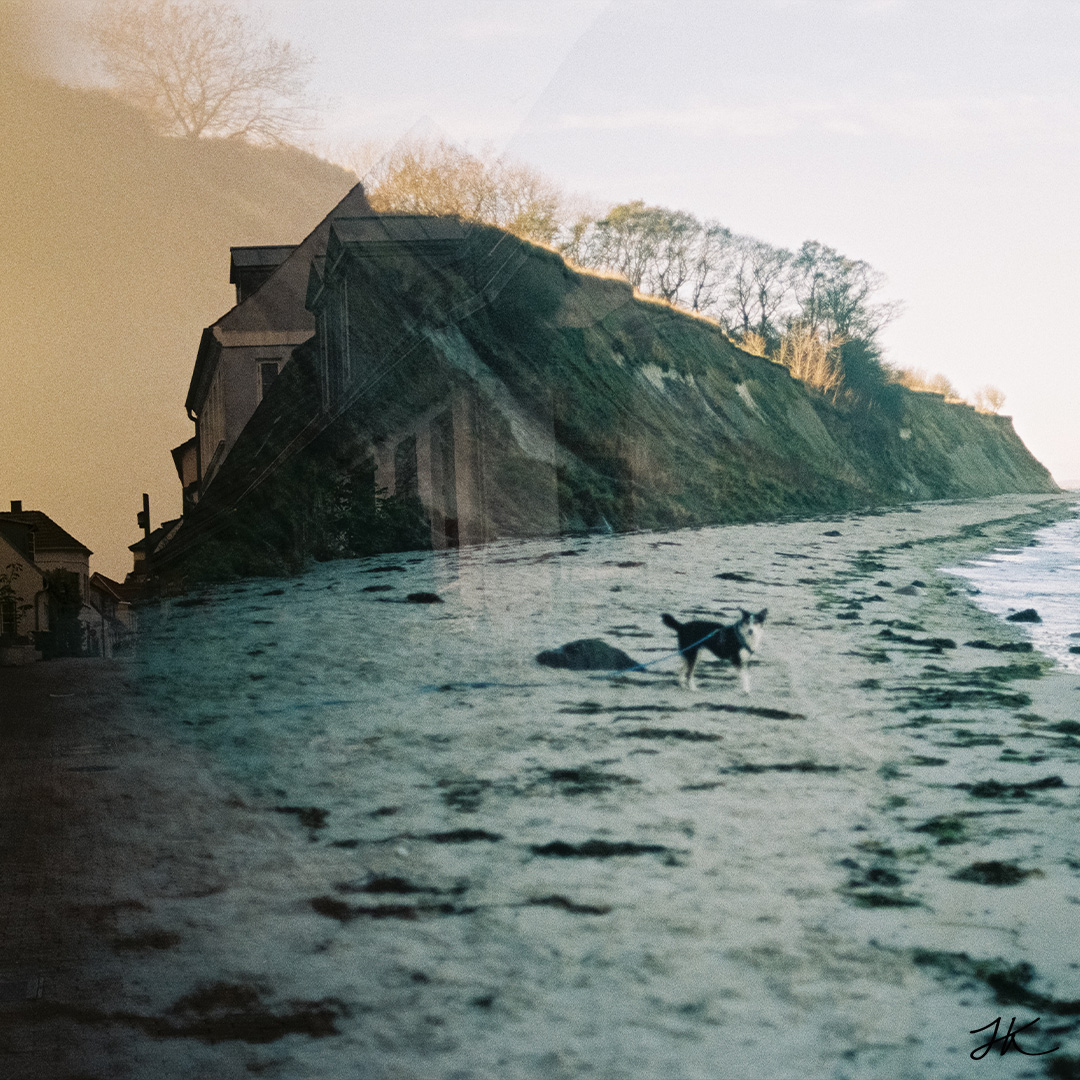 Lomography